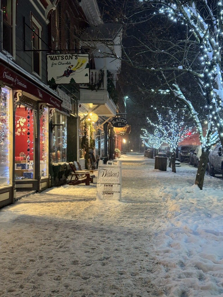 Exploring Ellicottville NY: 8 Fun Things to Do on Your Winter Day Trip